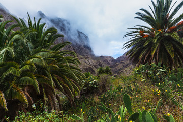 Fototapeta na wymiar Fabulous Masca mountain gorge the most visited tourist attraction on Tenerife