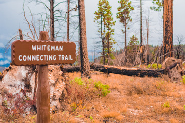 Bryce Canyon in the Mist