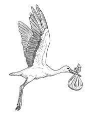 Drawing of white stork bird carrying baby in bag - hand sketch of flying ciconia ciconia, black and white illustration