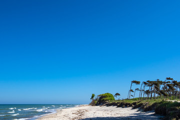 Der Weststrand auf dem Fischland-Darß