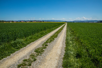 feldweg