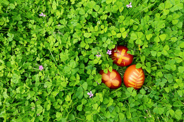 banner bello Pasqua primavera