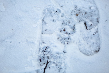 Ślady butów na śniegu - obrazy, fototapety, plakaty