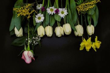 Spring flowers, white tulips, yellow daffodils, gypsophiles, Mimosa twigs, one rosebud, small asters and cyclamens laid on top on a black background