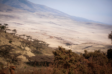 Picturesque view to Ngorongoro National Park, located at the bottom of ancient volcano crater