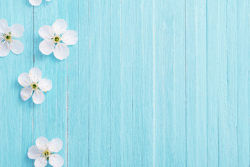 spring flowers on blue wooden background