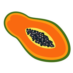 papaya flat color art illustration