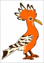 PARROT DOMESTIC BIRD