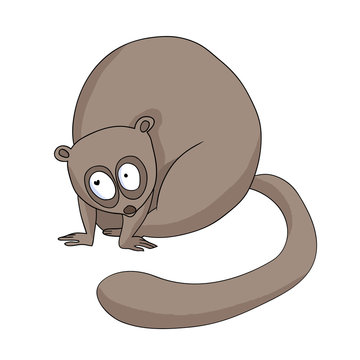 Color vector illustration, image of a cartoon funny wild animal, lori