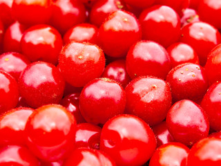 Nanking cherries (Prunus tomentosa) close up. Red fruits background.