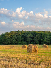 Bales of straw in the field in front of a forest under blue sky with clouds