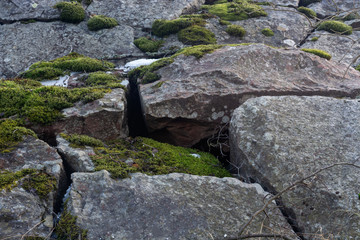 large stones covered with MOSS in cloudy weather