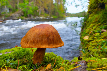 Landscape in Finland.