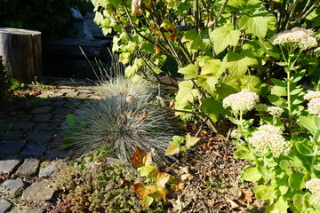 Kleine Ecke in einem Garten