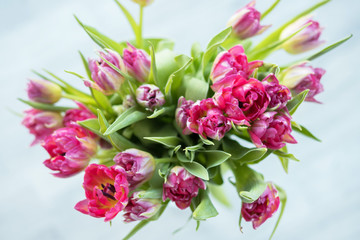 Bouquet of spring tulips