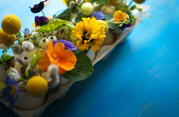 Easter holiday natural composition with first spring flowers like tricolor violas and primerose , quail eggs