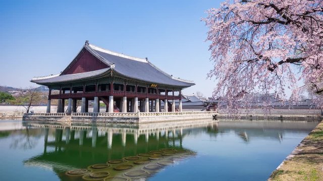 Time lapse of Gyeongbokgung palace in spring ( Sign board text is " gyeonghoeru pavilion")