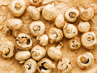 Champignons on wood