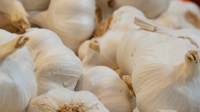 Big beautiful heads of white ripe garlic on the market counter