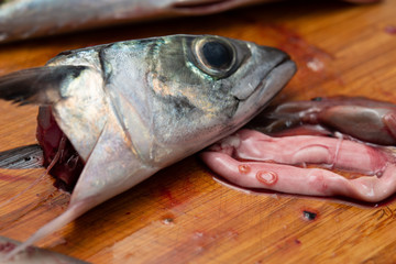 サバの内臓に寄生したアニサキス