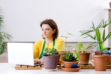 Female gardener with plants indoors 