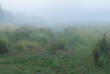 Obraz na płótnie Canvas A way in fairy fog early in the morning