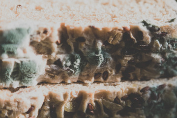 Close up of mold on sliced bread.