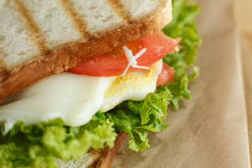 Closeup juicy sandwich with bacon, fresh vegetables, green salad and dark lines after grill