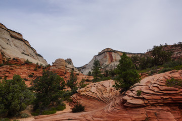 zion canyon utah scenery