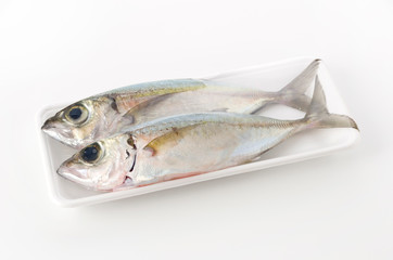 メアジ、トッパク、ガチュン （パック入り）