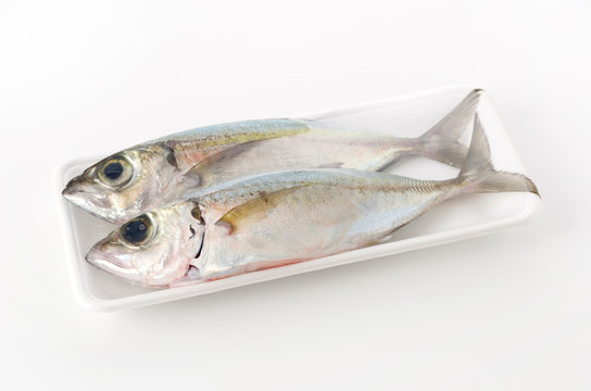 メコン Images Browse 2,012 Stock Photos, Vectors, and Video Adobe Stock