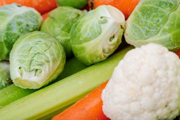 A variety of fresh raw Organic Vegetables including Celery Stalk, Carrots, Cabbage.