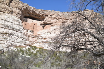 Camp Verde, AZ., U.S.A., Jan. 13, 2018. Arizona Montezuma Castle National Monument-winter slumber....