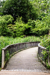 bridge going through grass in Regent’s park in London England