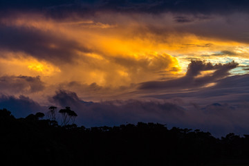 Sunset at Rarawa Campsite, silhouette trees an dramatic Clouds, North Island, Auckland, New Zealand