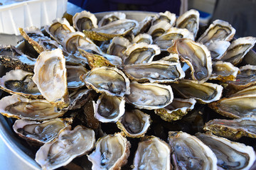 fresh oysters on ice