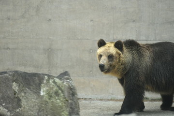 動物園