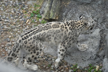 動物園