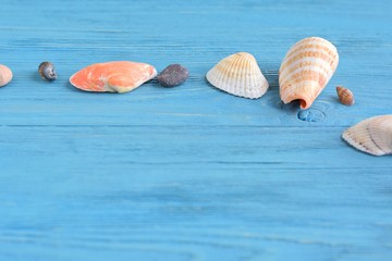 Many beautiful colorful exotic seashells with selective focus on blue wooden textured background. Summer vacation backdrop with colorful tropical sea shells. Beautiful summer flatlay with set of shell