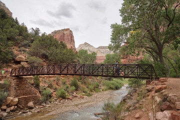 Fototapeta premium bridge over river in zion canyon national park