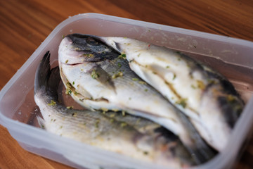 Goldbrasse, Dorade vom Grill