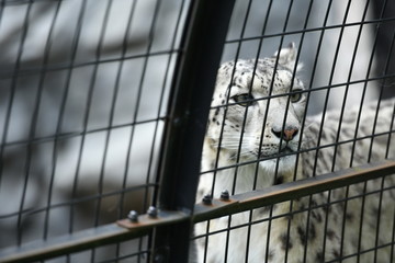 動物園