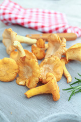 girolles