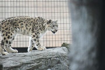 動物園
