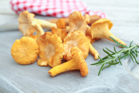 girolles