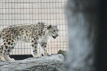 動物園