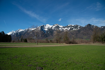 Vorfrühling im Oberen Rheintal