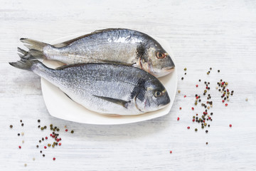 Fresh Royal Dorada on white Background. Healthy food concept. Top view, copy space.