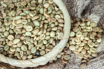 Grüne Kaffee Bohnen in einem Körbchen auf Sackleinen