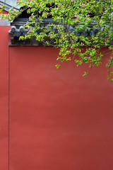 Buds of flowers of apple blooming on red background